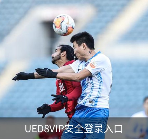 UED8VIP安全登录入口简介